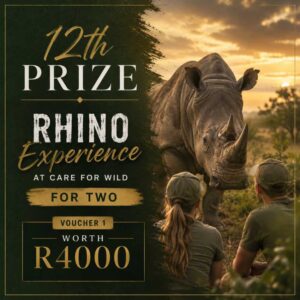 12th Prize - Rhino Experience at Care for Wild for two